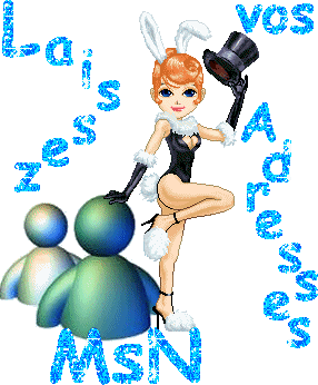 Laissez vos adresse msn